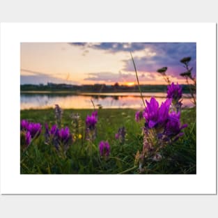 purple wildflowers Posters and Art